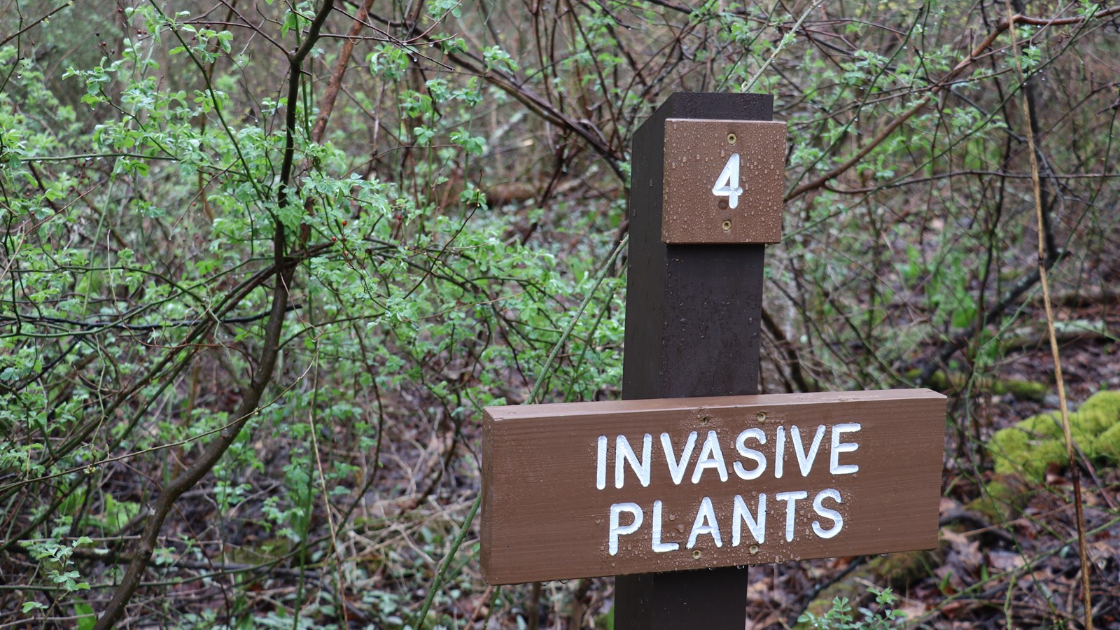 A brown, wooden sign reading
