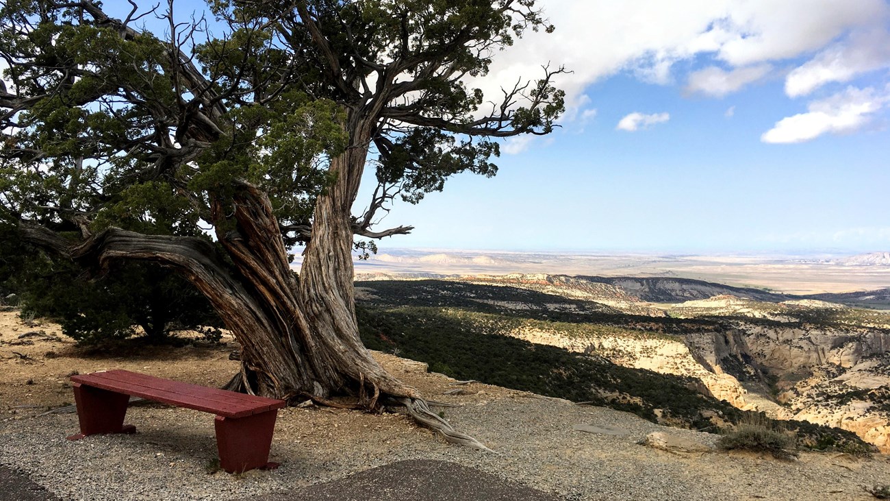 A bench beside a paved path provides views of the canyons surrounding Plug Hat Trail.