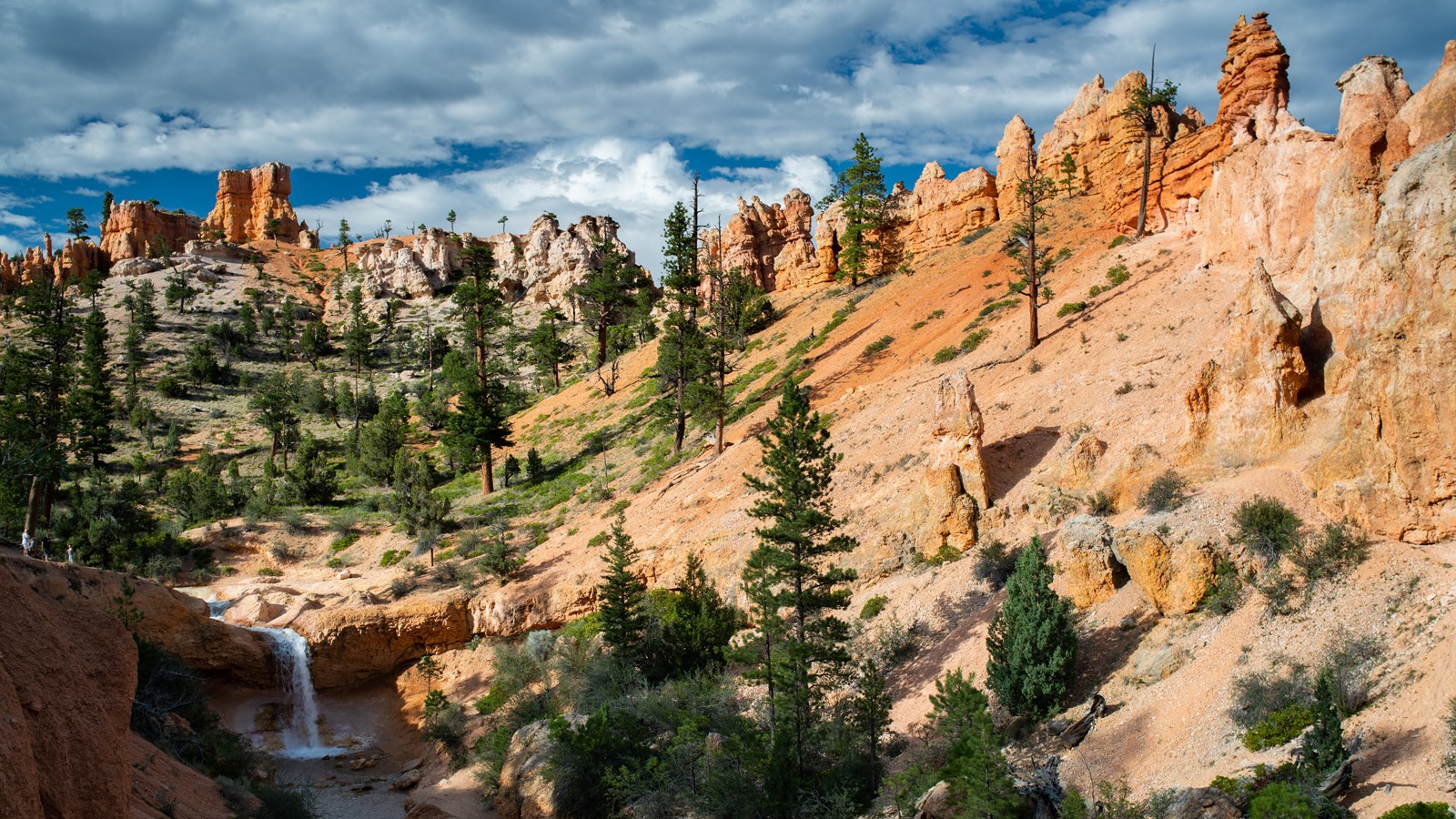 A canyon of red rock lined with trees and shrubs contains a waterfall feeding a small stream