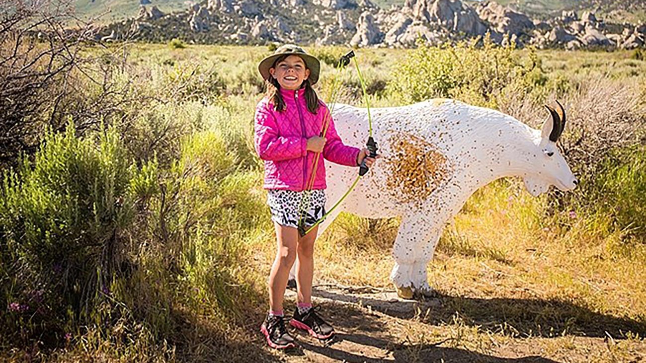 A girl with a bow stands in front of a 3d foam target of a mountain goat.