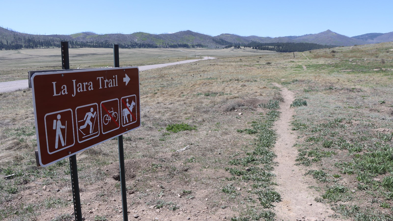 A brown trailhead sign says