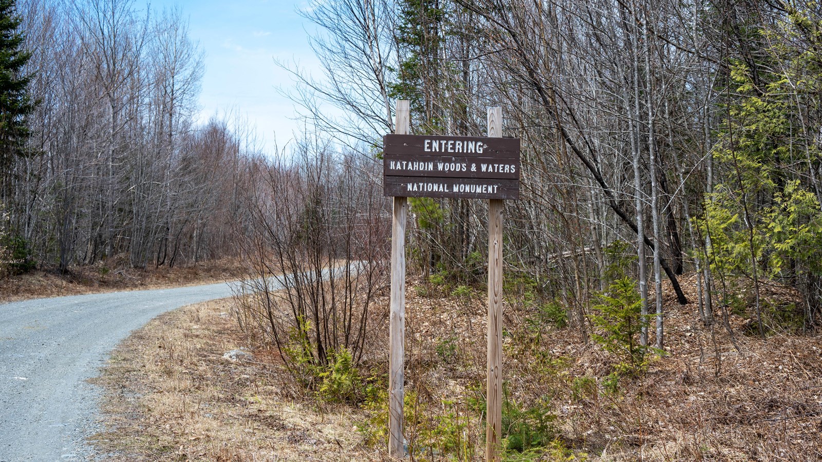 A small wooden welcome sign to the right of a gravel road in a mixed forest.