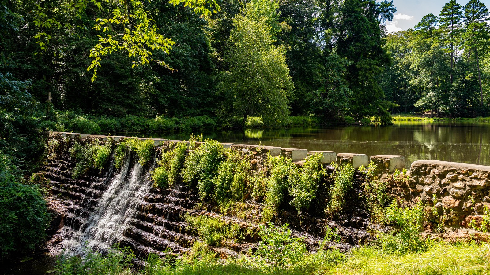 A body of pond water spilling over a dam, forming a wide waterfall