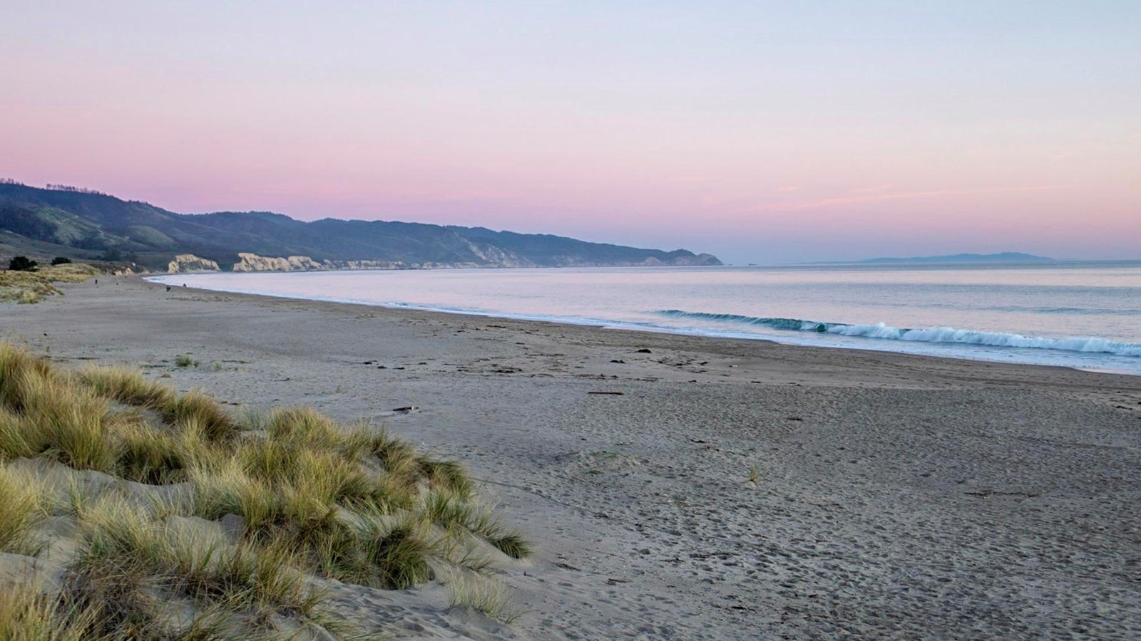 Sunset at Limantour, casting pink skies. Beach grass borders a wide beach. Small waves lap the shore