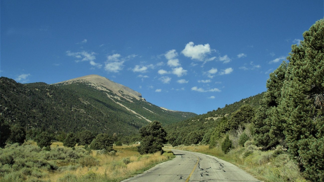Doso Doyabi from the Wheeler peak scenic drive