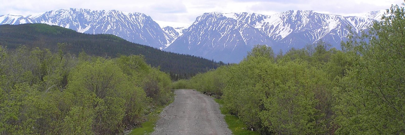 McCarthy Road