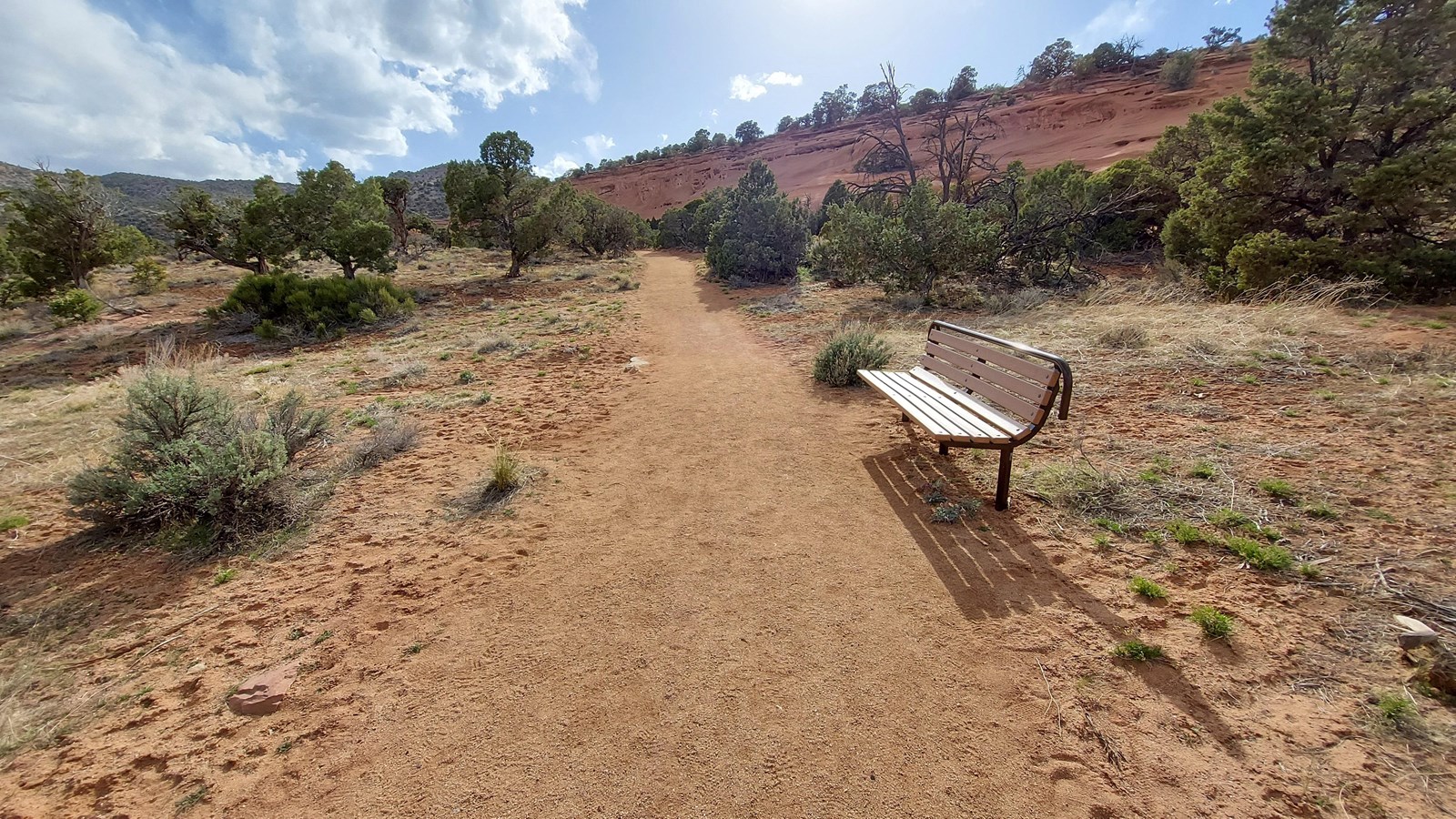 Crushed gravel path. A bench is on the right side of the trail.