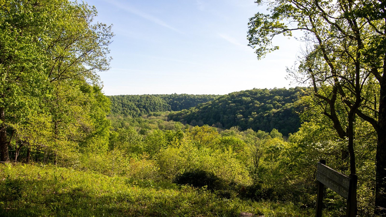 Bright green forest frames the distant view of rolling hills which descend to a river valley.