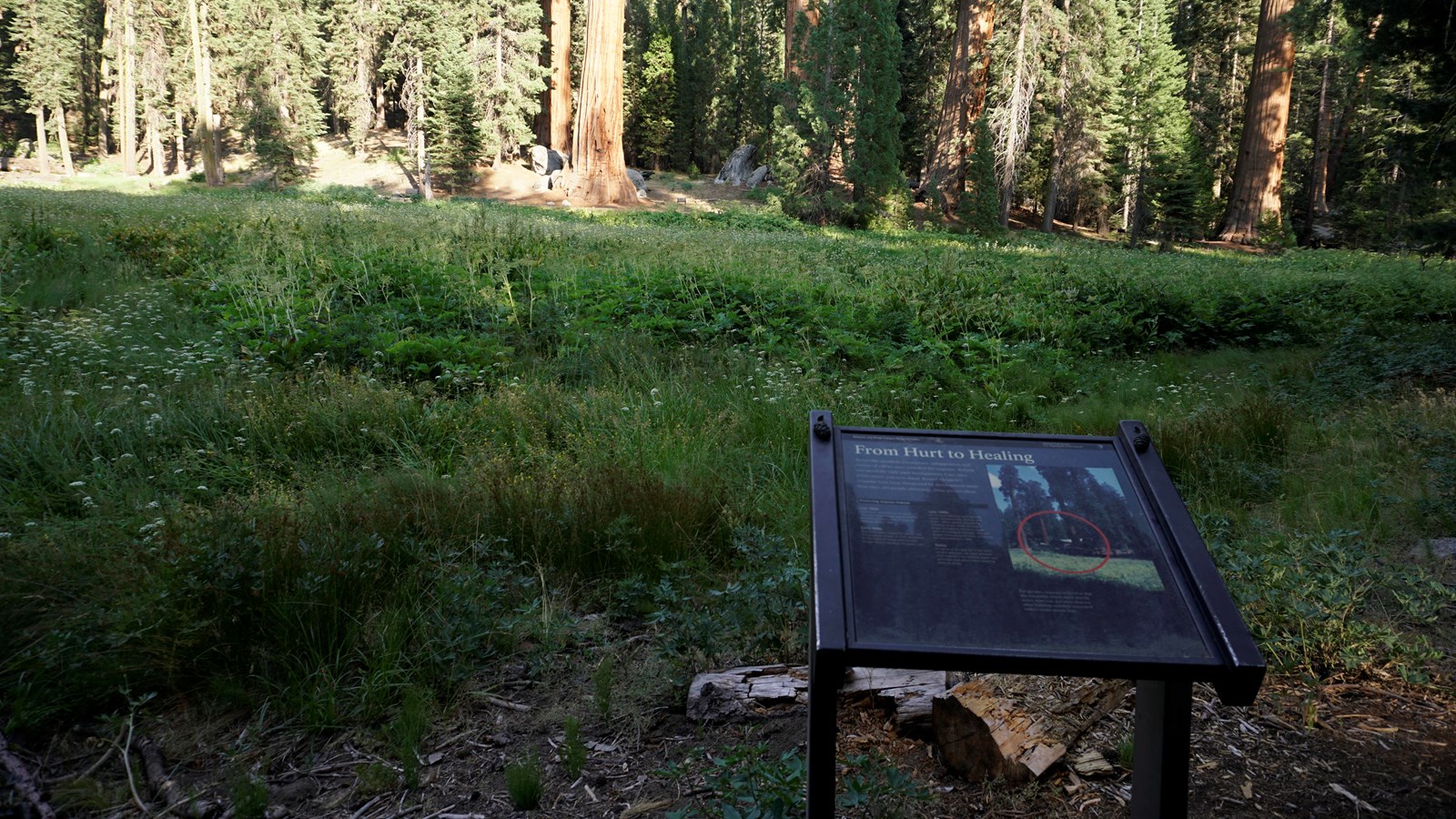 A metal panel sits in a metal frame. The metal frame stands in front of green grasses. 