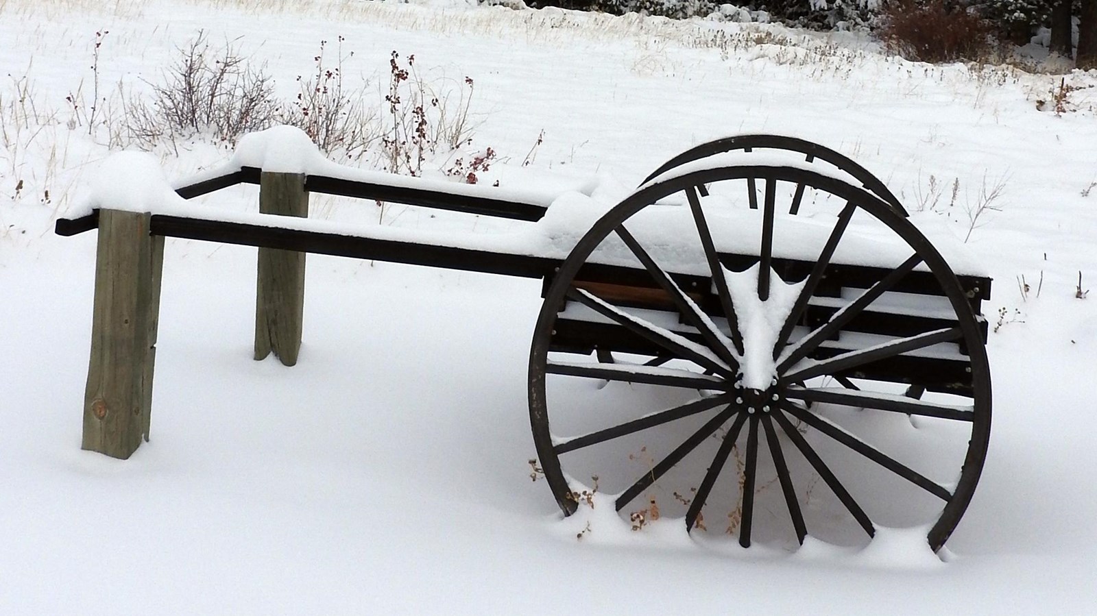 A Mormon handcart replica is covered by a light layer of snow.