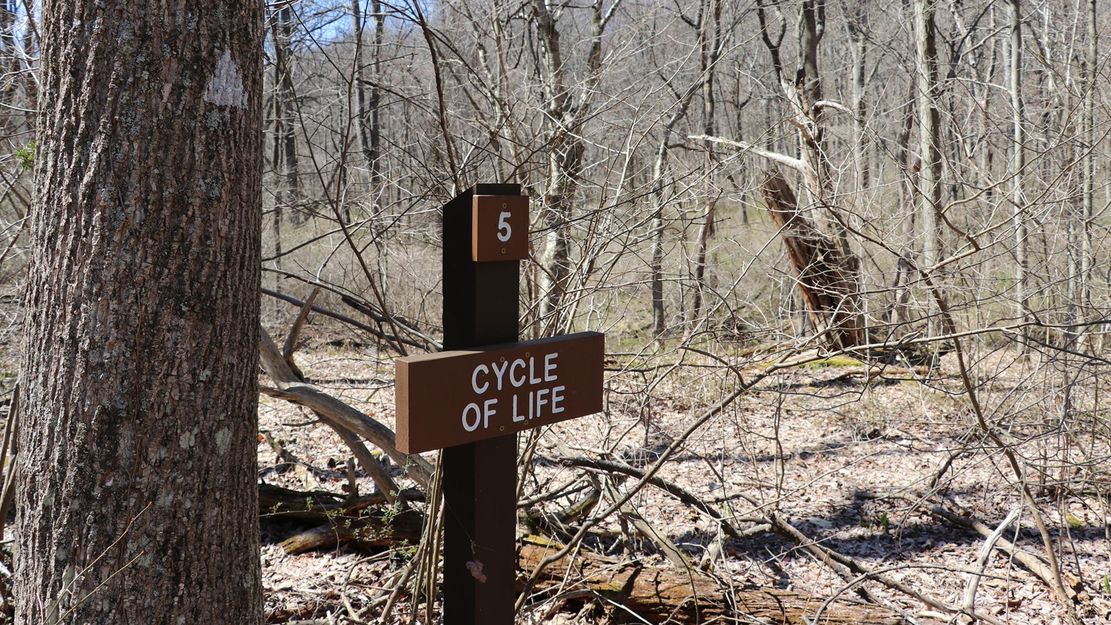 A brown, wooden sign reading 