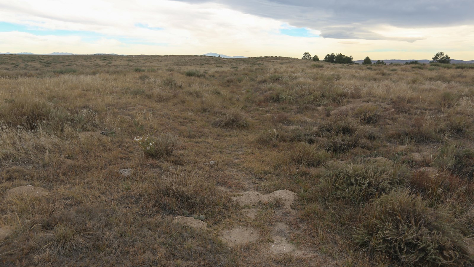 A landscape view of a grassy, flat area with an eroded path through the middle.