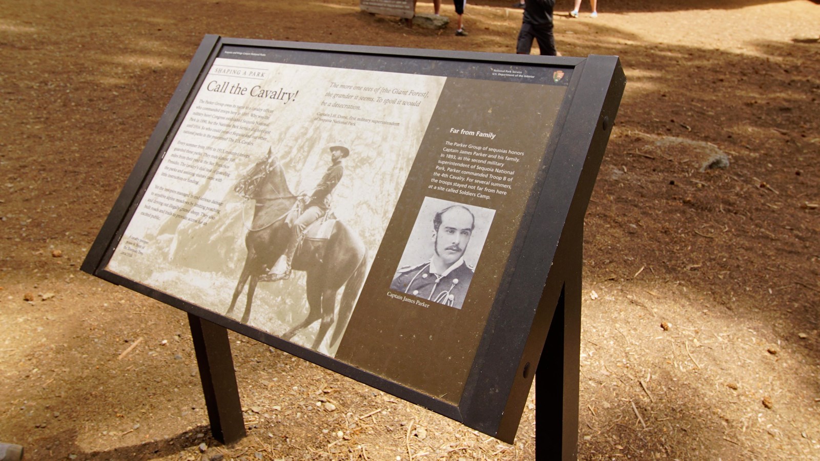 A metal panel has images and text on it. The panel stands in front of a group of giant sequoia trees