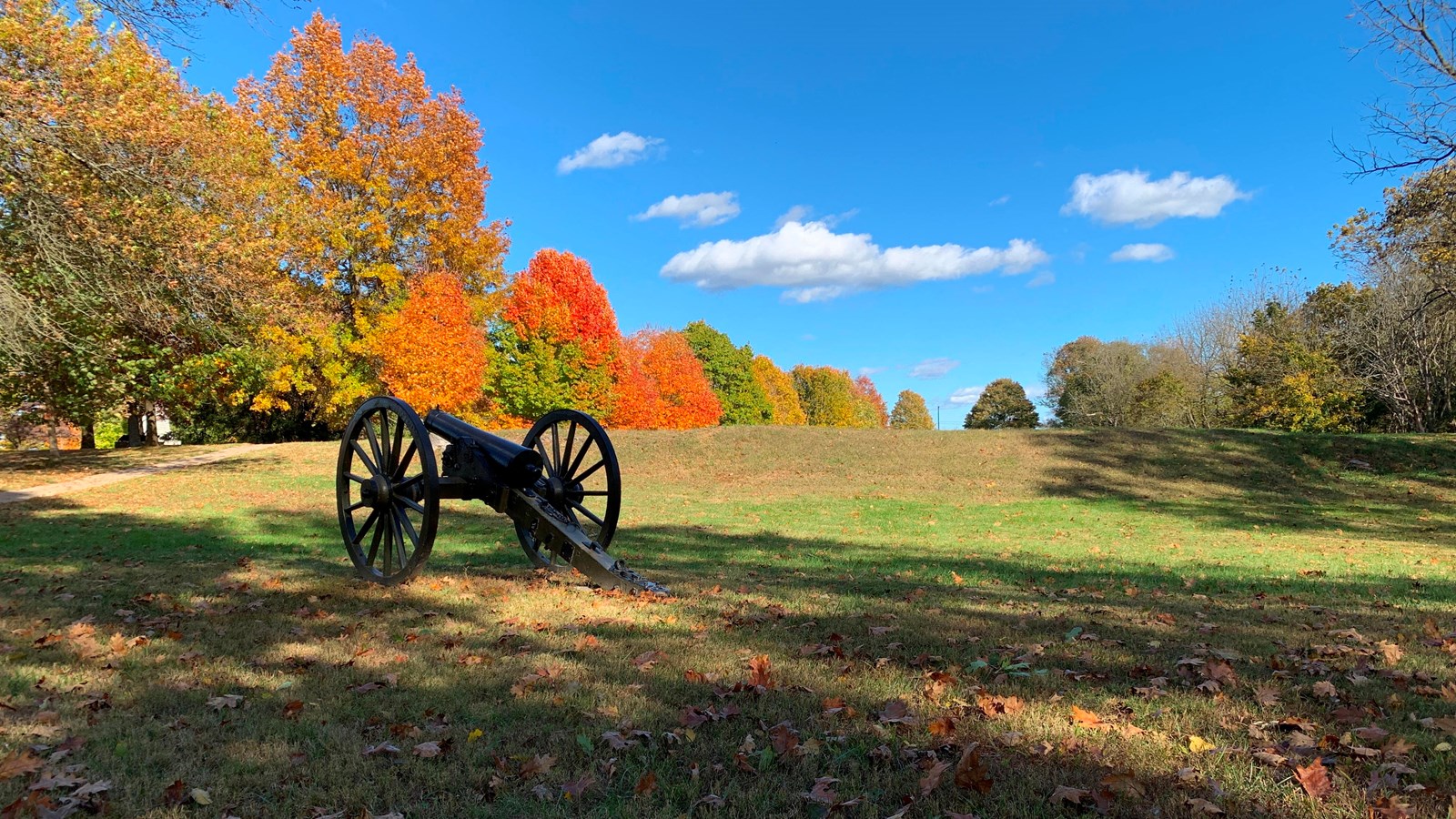 cannon and trees with orange leaves