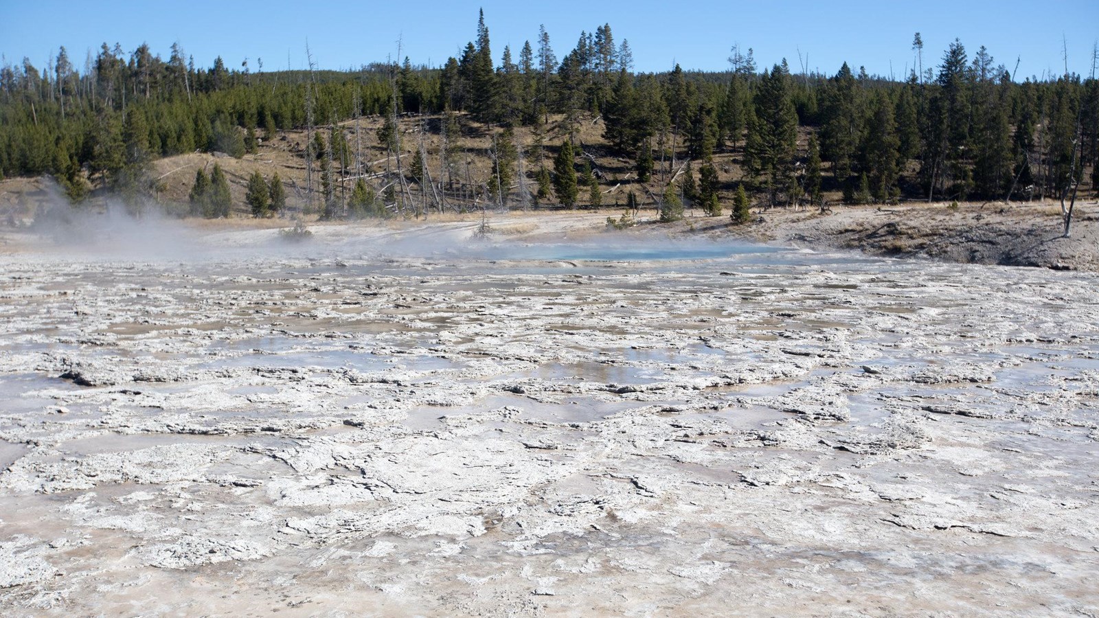 Steam rises from a hot spring surrounded by hydrothermal rock in a geyser basin.