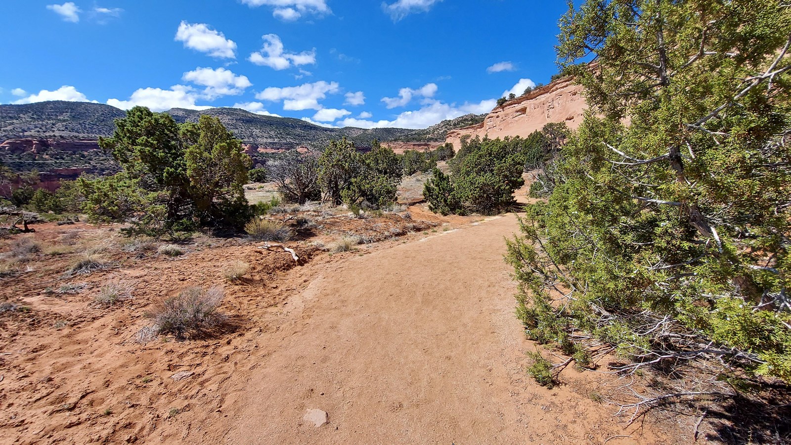 Crushed gravel path. Shrubs and trees are along either side of the path. View of a geologic features
