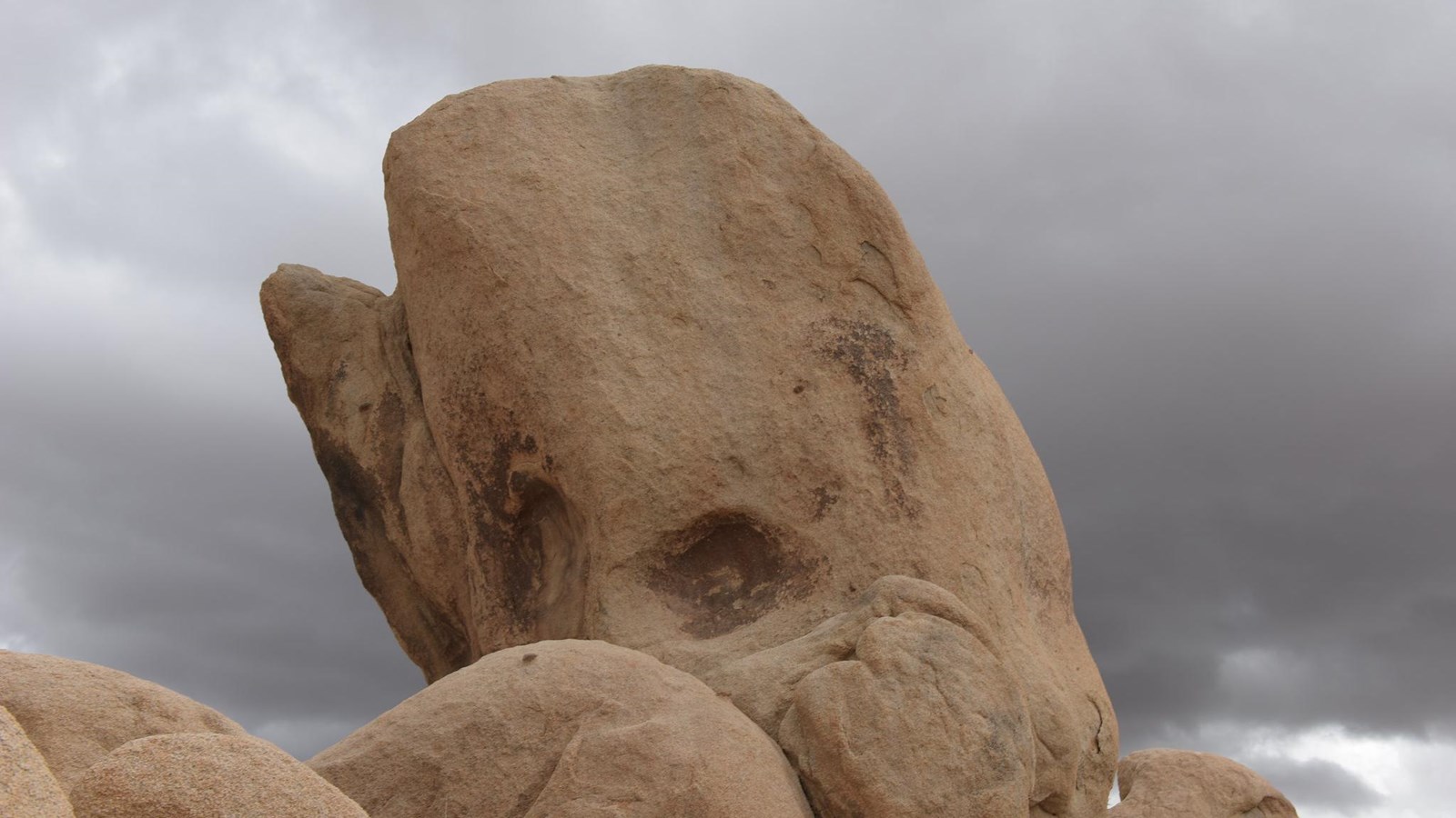 A large granite boulder shaped like the head of a whale coming out of the ground.