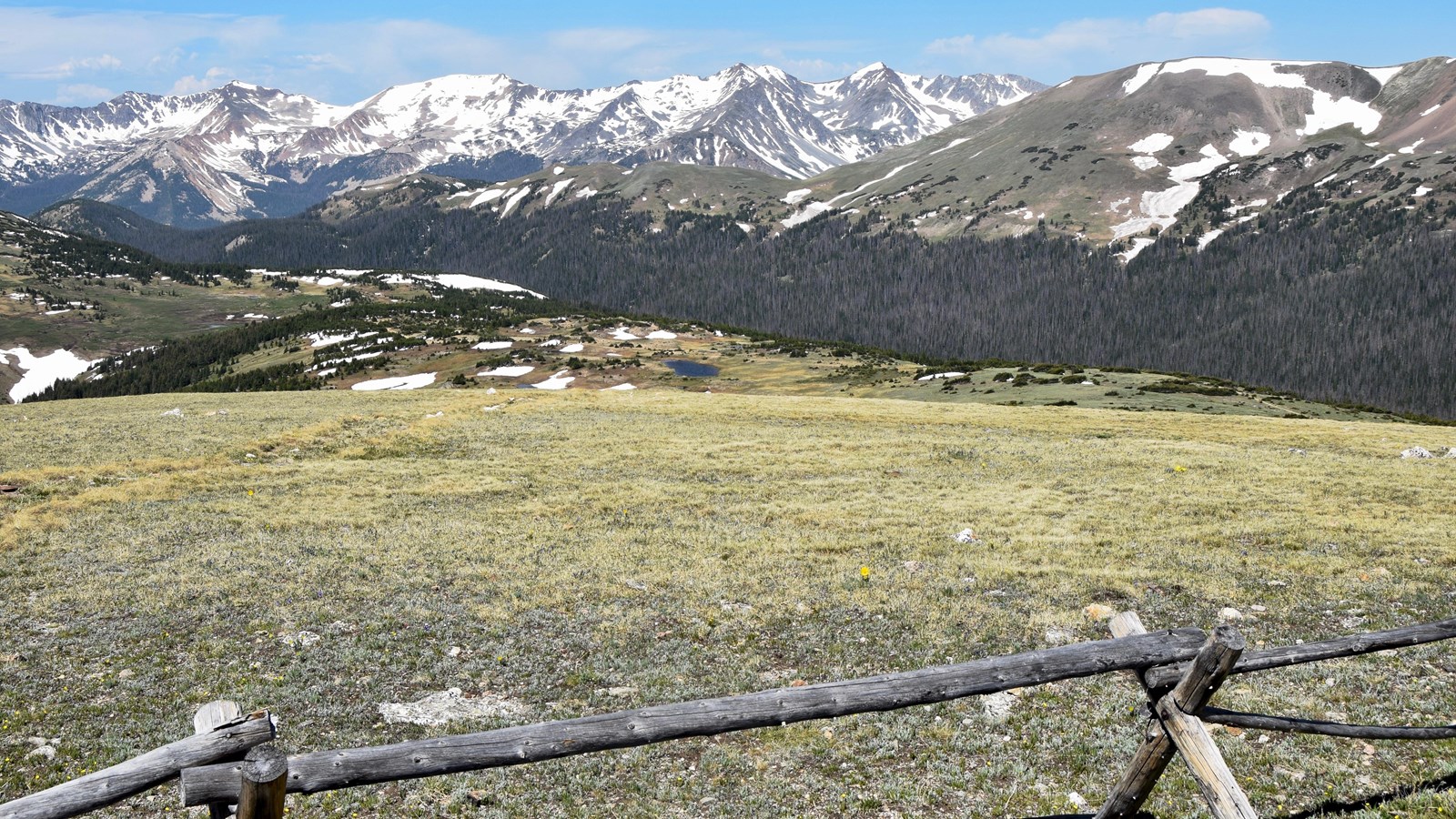 a fence in the foreground, grassy meadow and snow capped mountains in the distance