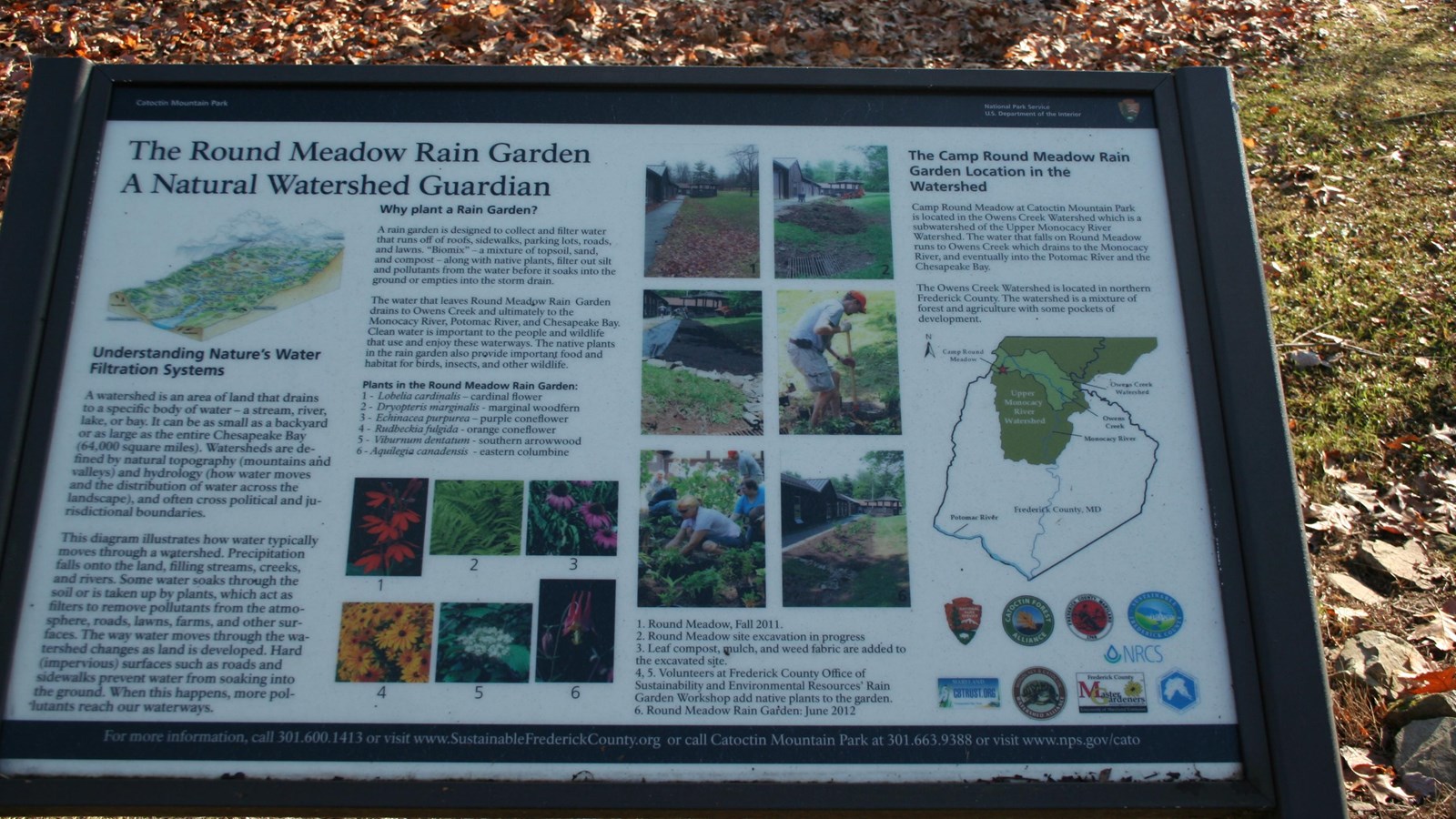 An information panel with written and visual descriptions on the functions of a rain garden.