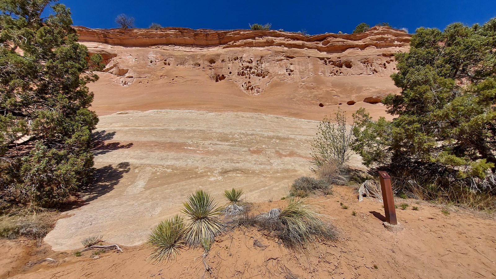 Rock-face on the side of the trail that shows the stratigraphy of the area. Trees and shrubs cover.