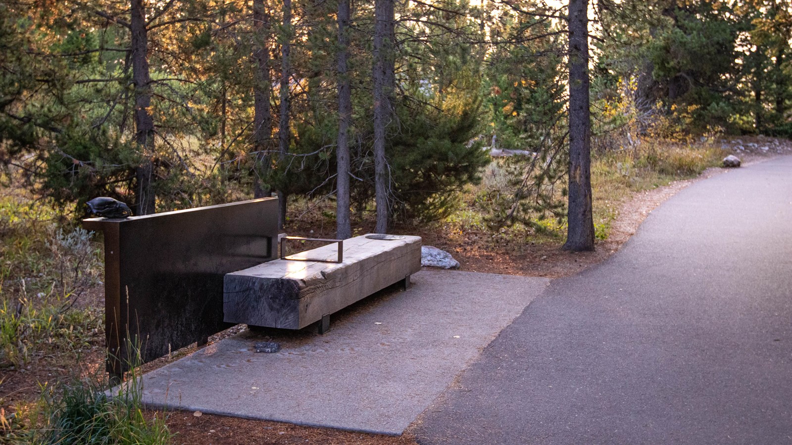 A bench with bronze tactile features along the Discovery Trail