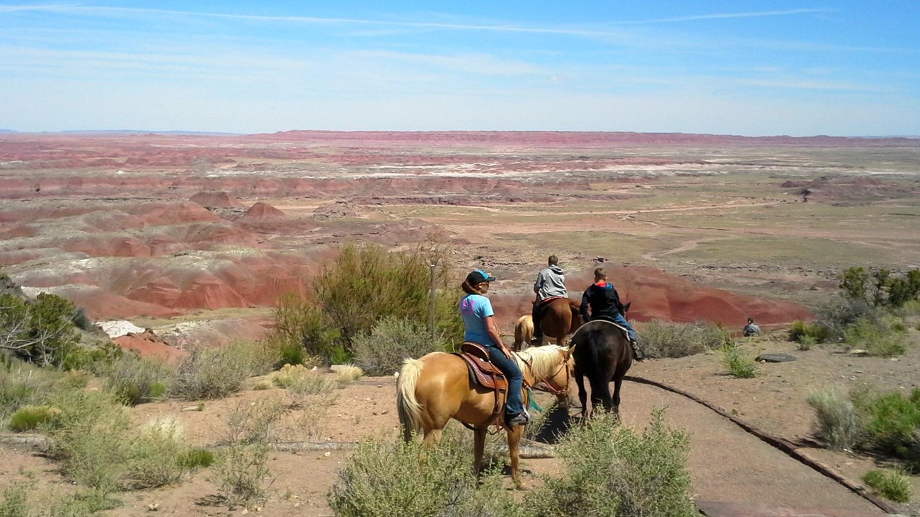 More than three horses and riders going down a trail into the red part of the Painted Desert, red ba