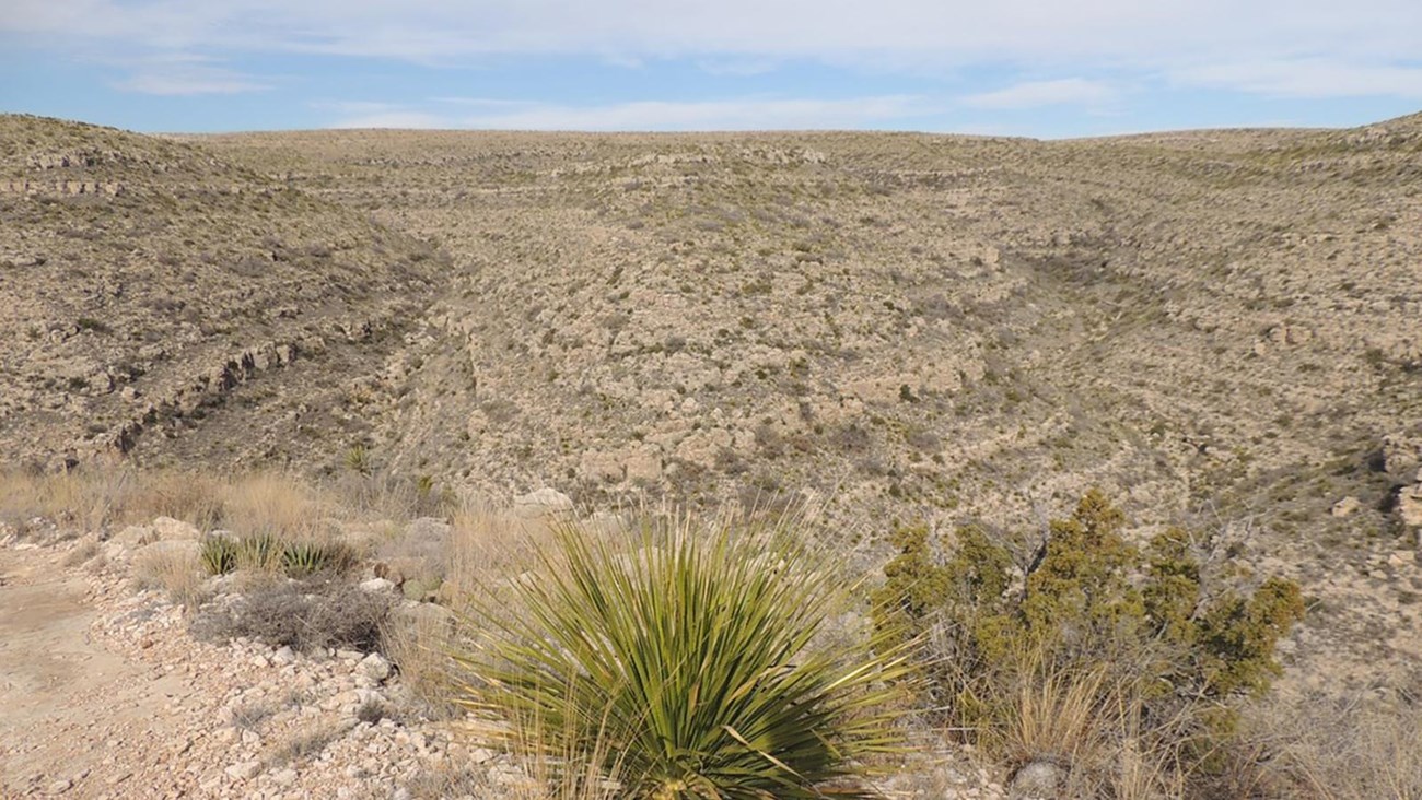 Photo Rattlesnake Canyon with sotol desert plant in the foreground.
