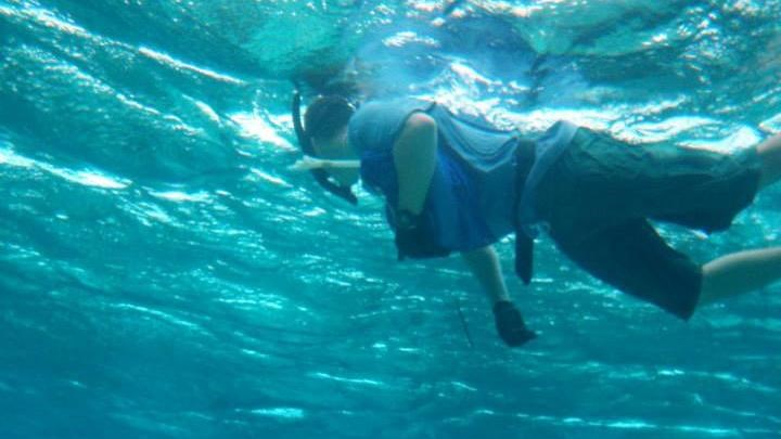 A snorkeler floats near the top of the image at the water\'s surface, with coral in the foreground.