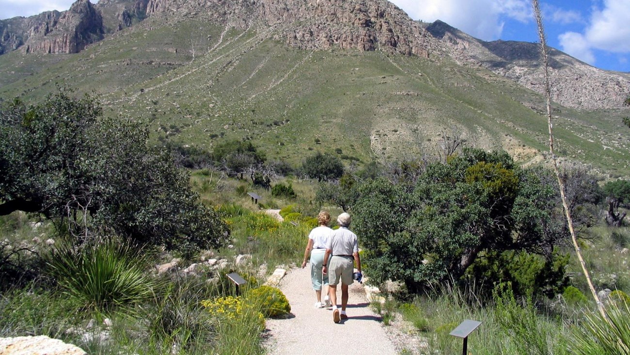 Two people walk a paved path through a bright desert landscape