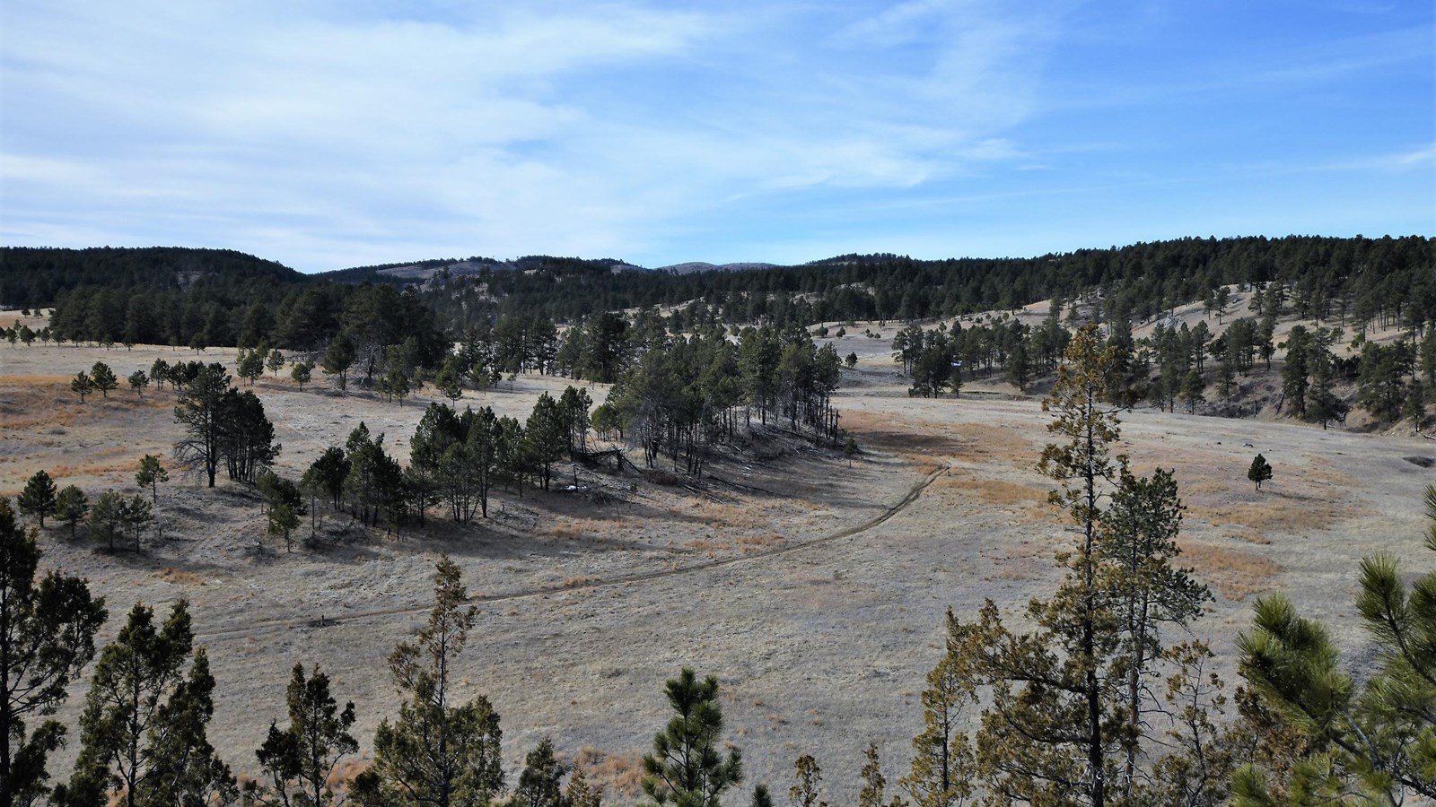 The thin path of the trail can be seen in the distance winding through the grass.