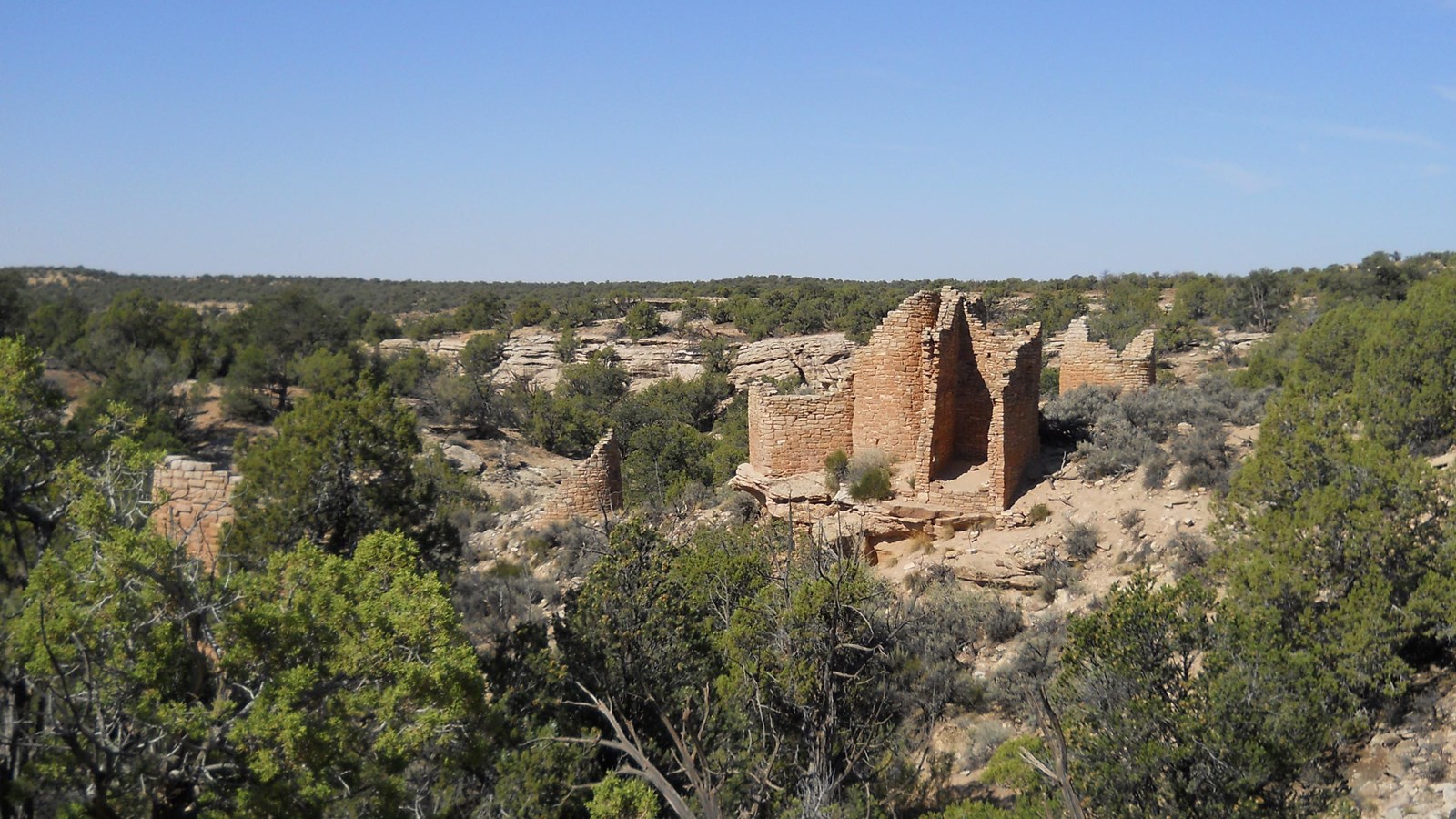 remains of a tall, complex stone structure just visible amongst juniper and pinyon pine trees