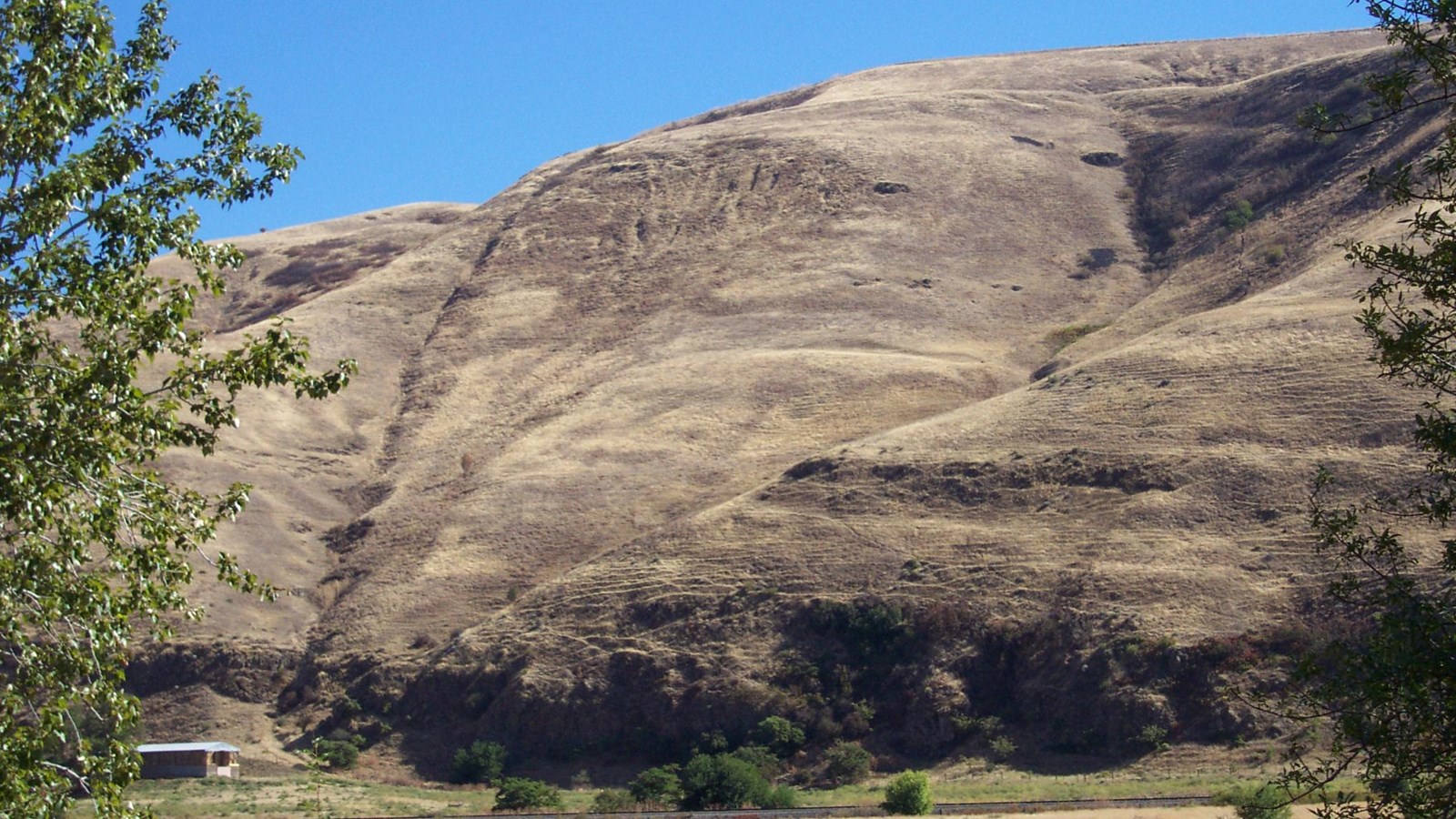 A mountain vista with trees in the foreground and on both sides