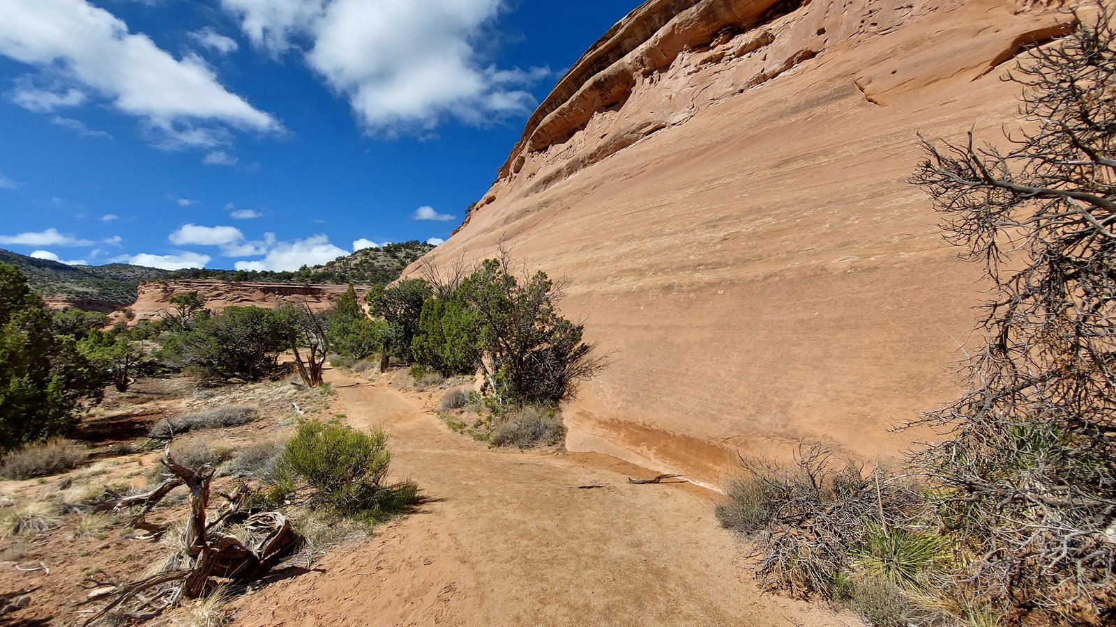 View of a rock-face that shows the stratigraphy of soils.