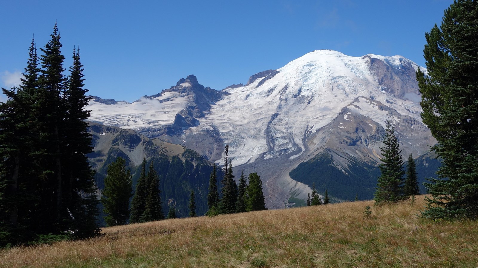 A glaciated mountain rising above a meadow and with patches of conifer trees. 