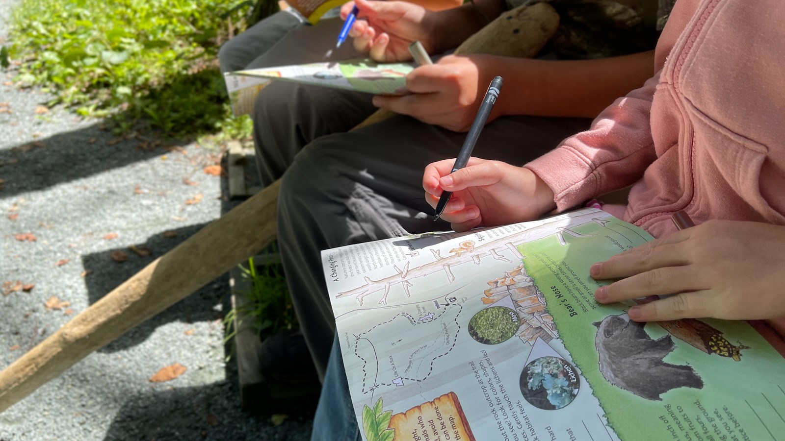 Several children write in their Limberlost TRACK Trails booklets while resting on a bench.