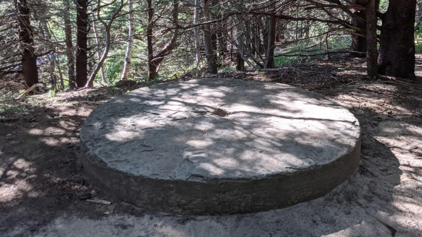 a round stone sits flat on the ground in the dappled shade of forest trees.