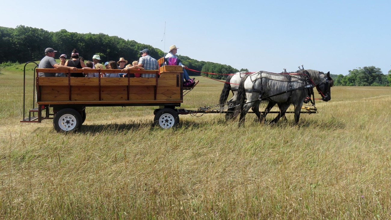 A horse team pulls a wagon of people on a wagon ride.