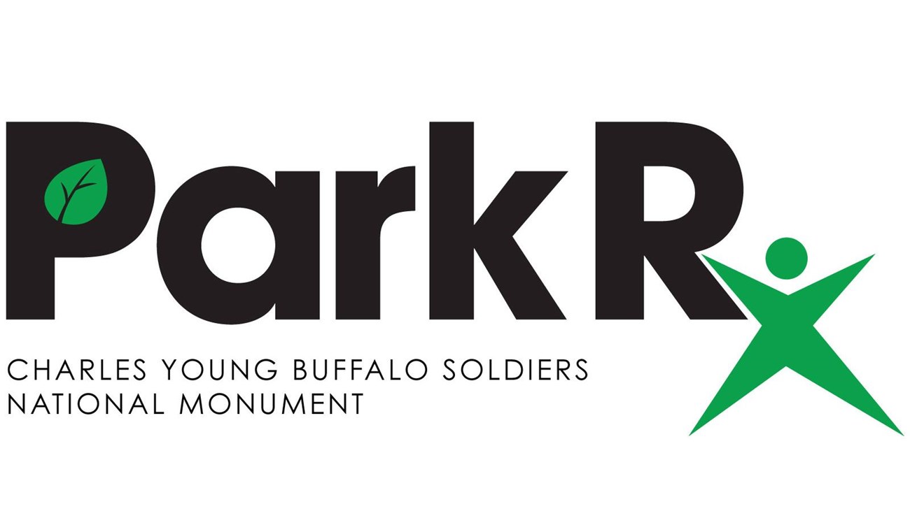 A text logo with Park Rx in large letters with the X resembling a person\'s body in green