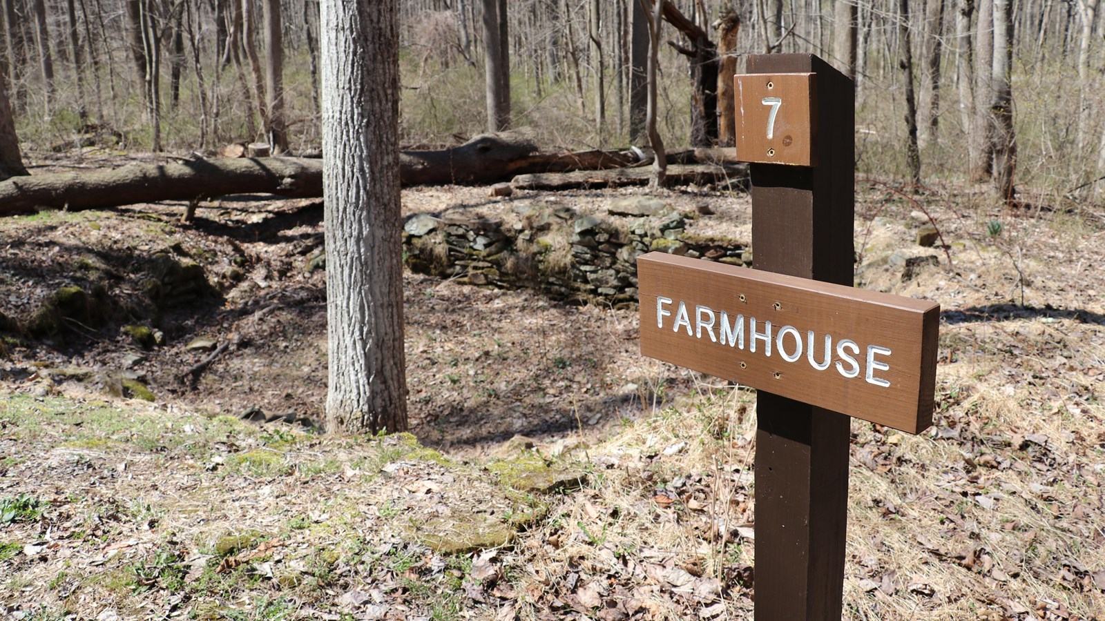 A old stone foundation in a level, hollowed out section of ground with a sign reading