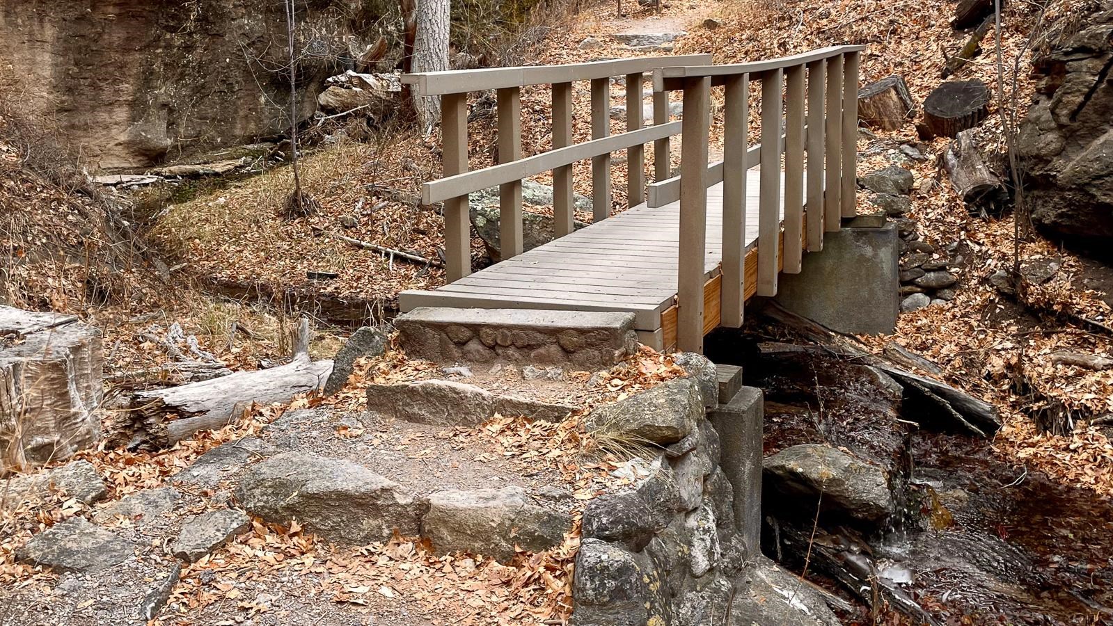 wooden bridge over creek with brown leaves