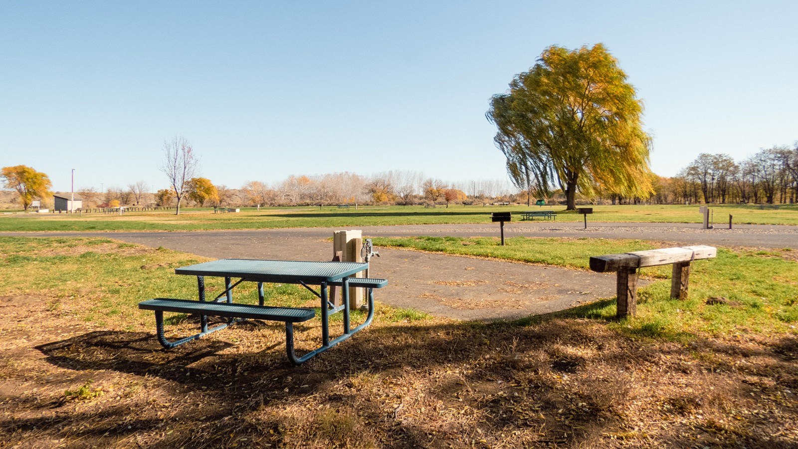 A green picnic table sits in the foreground with green grass and a solitary tree in the background. 