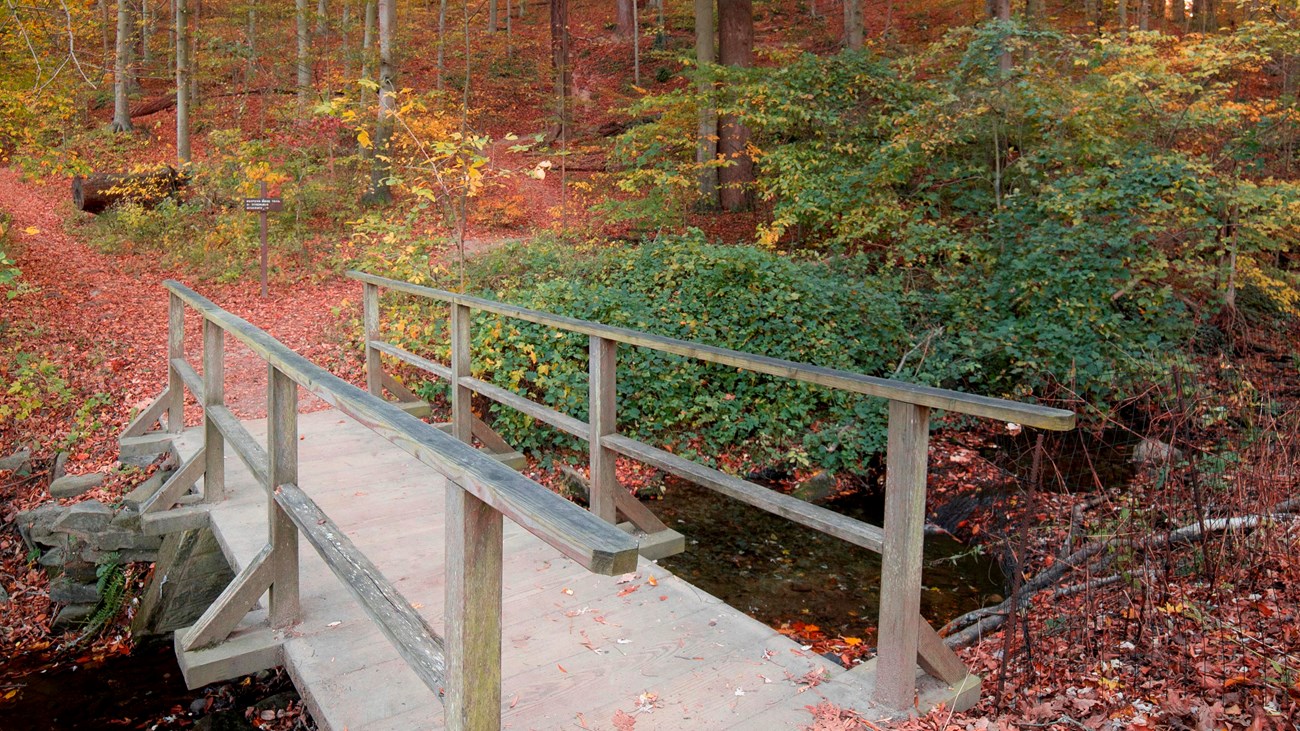 A dirt trail leading up to a small bridge. Yellow and green trees are in the distance