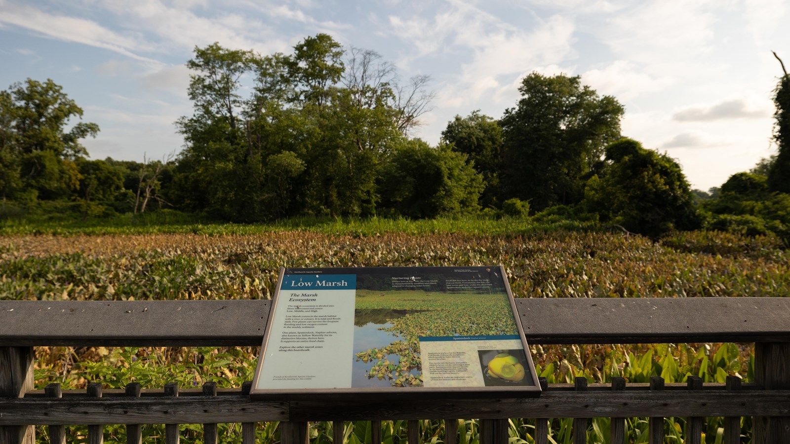 An information panel in front of a marsh