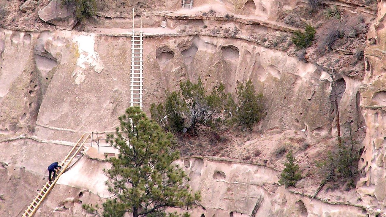 Ladders leading to Alcove House 