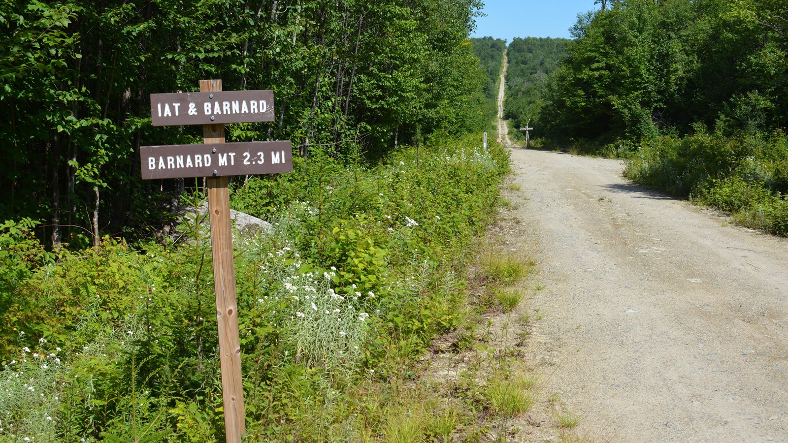 Dirt logging road surrounded by forest with a wooden trailhead sign.