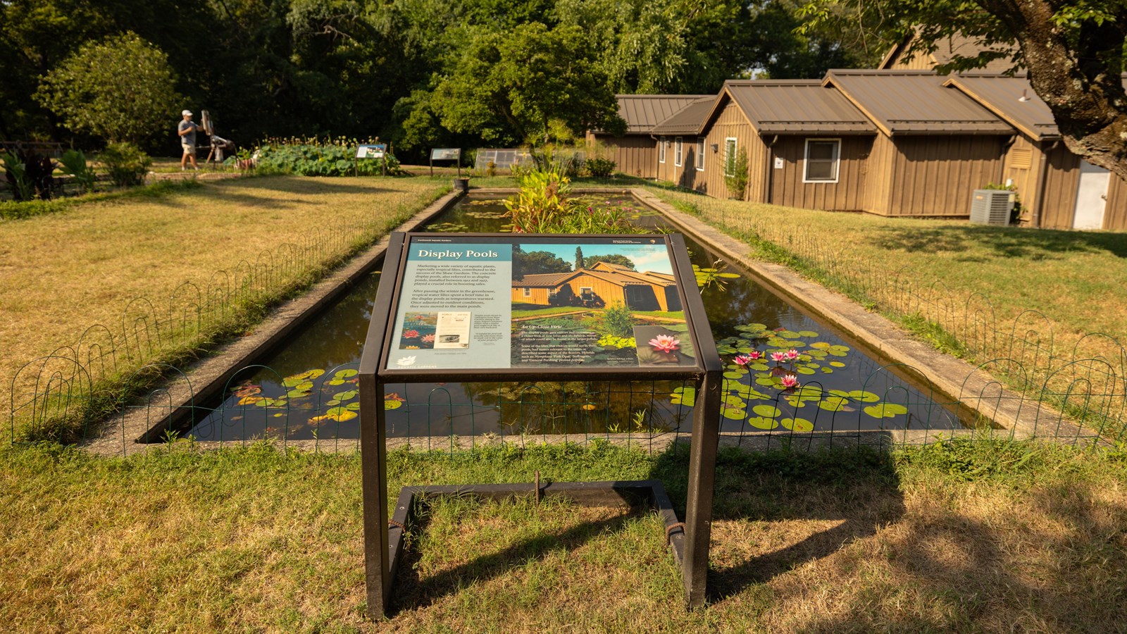An information panel in front of a marsh
