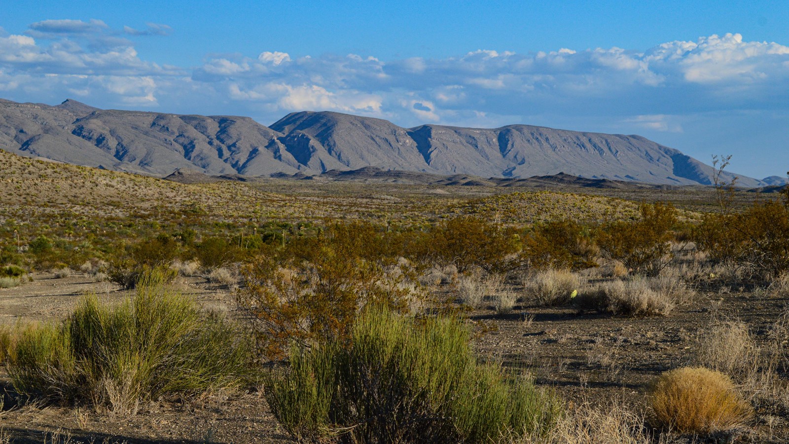 A view across a flat desert landscape towards a line of mountains under a cloudy sky.