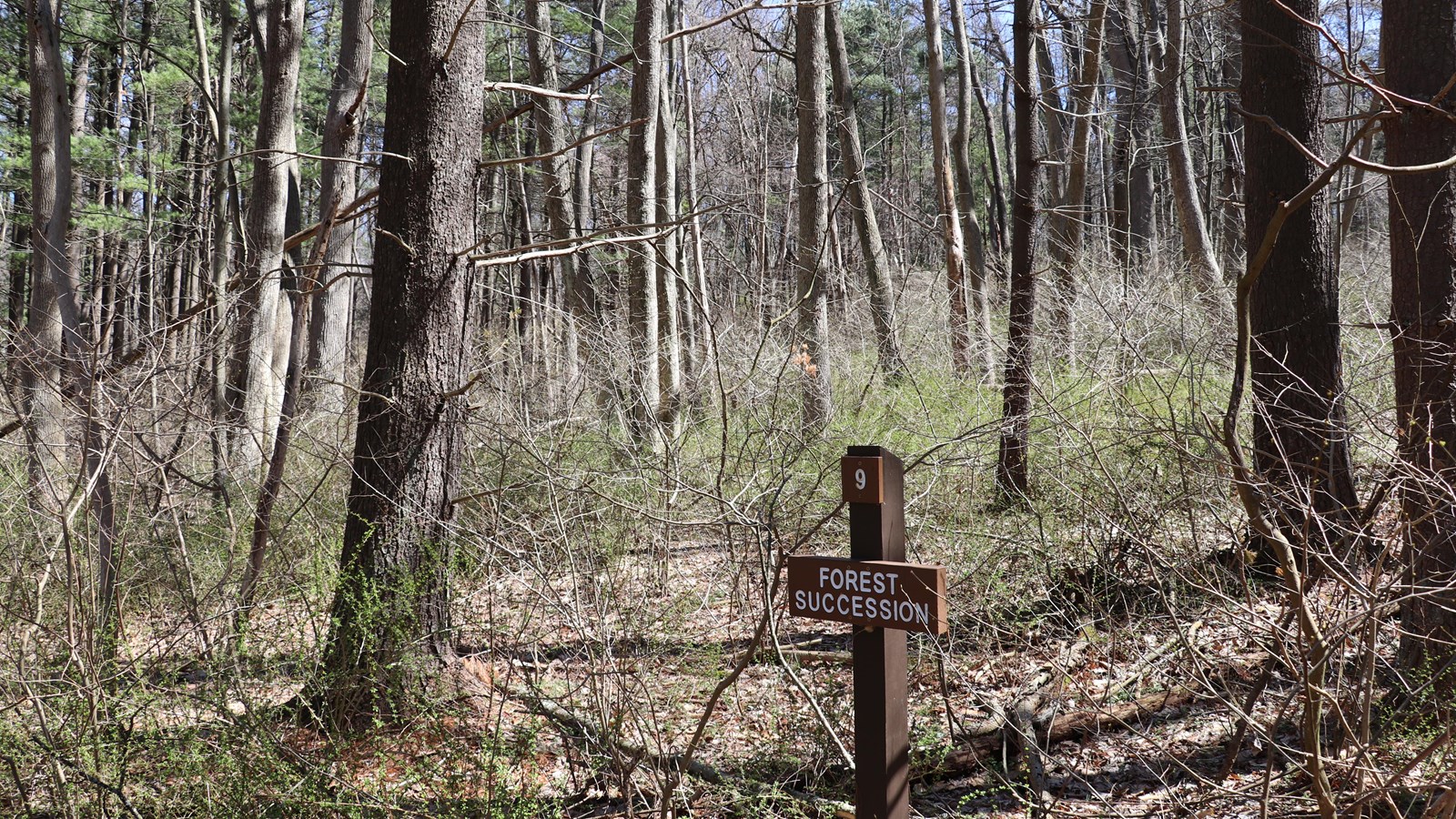 A brown, wooden sign reading