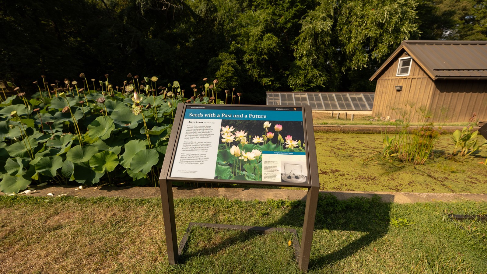 A information panel in front of a small pool and brown house