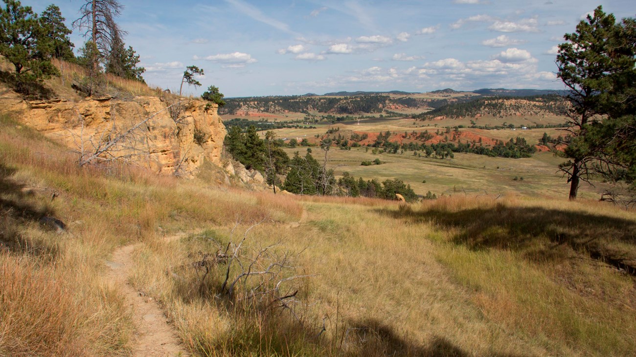 Path winding through prairie grass, with cliff face, red rocks, and pine trees in background.